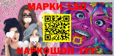 Альфа ПВП Ярославль
