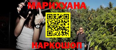 Альфа ПВП Ярославль