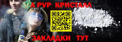 Альфа ПВП Ярославль